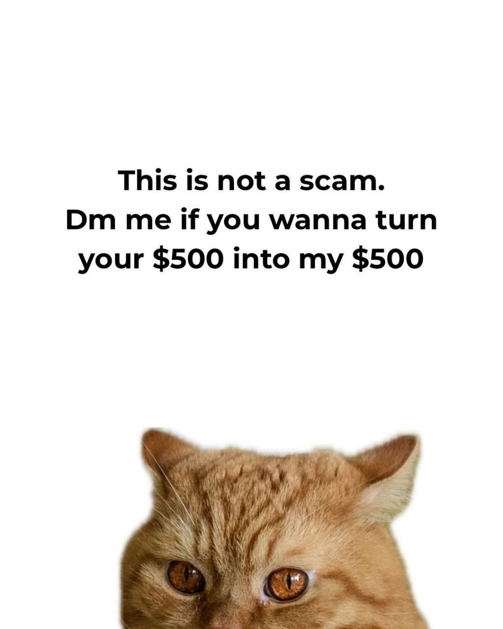 It really works, pinky promise