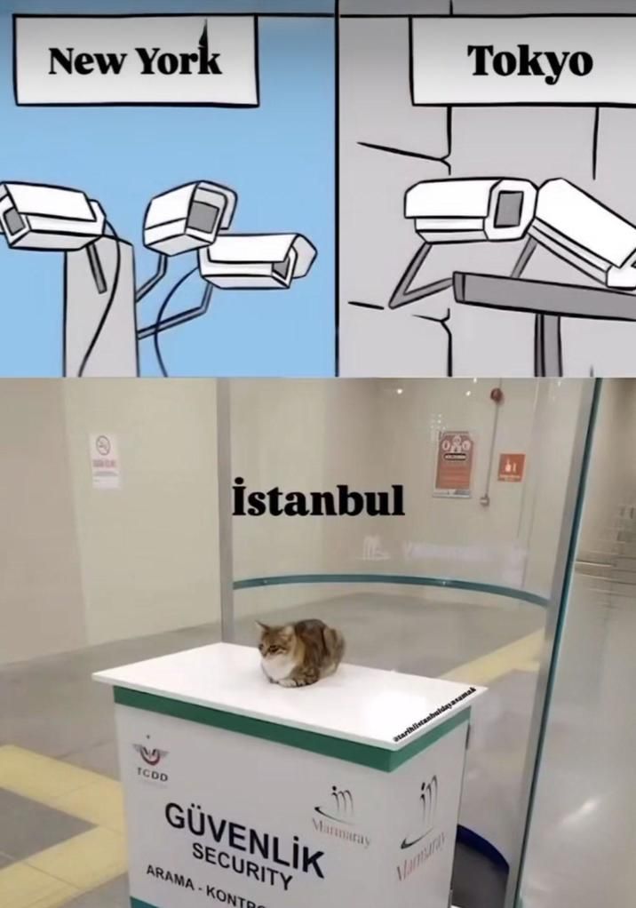 ​​​