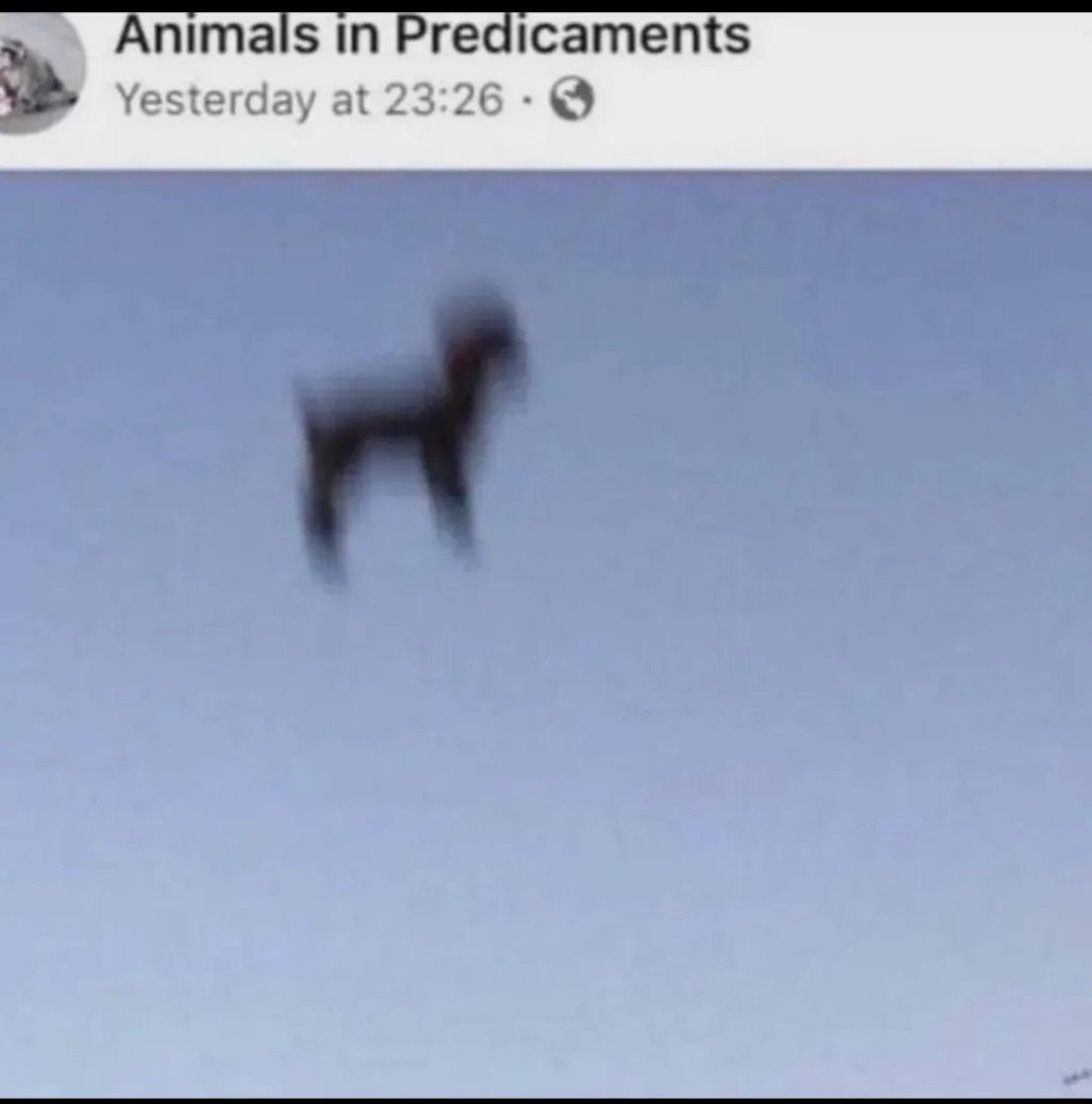 ​​​