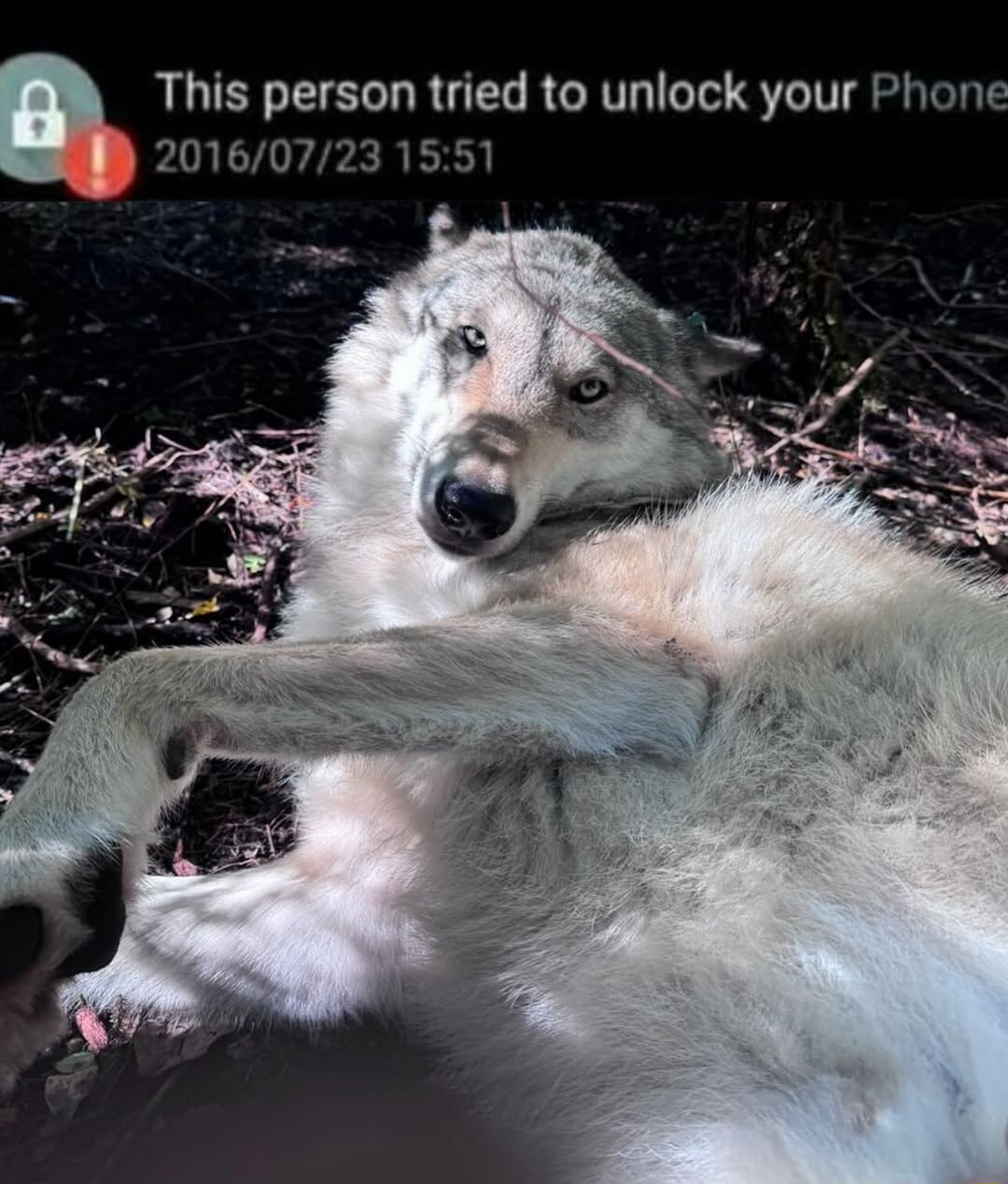 ​​​