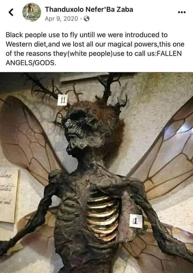 We wuz fairies n shiet