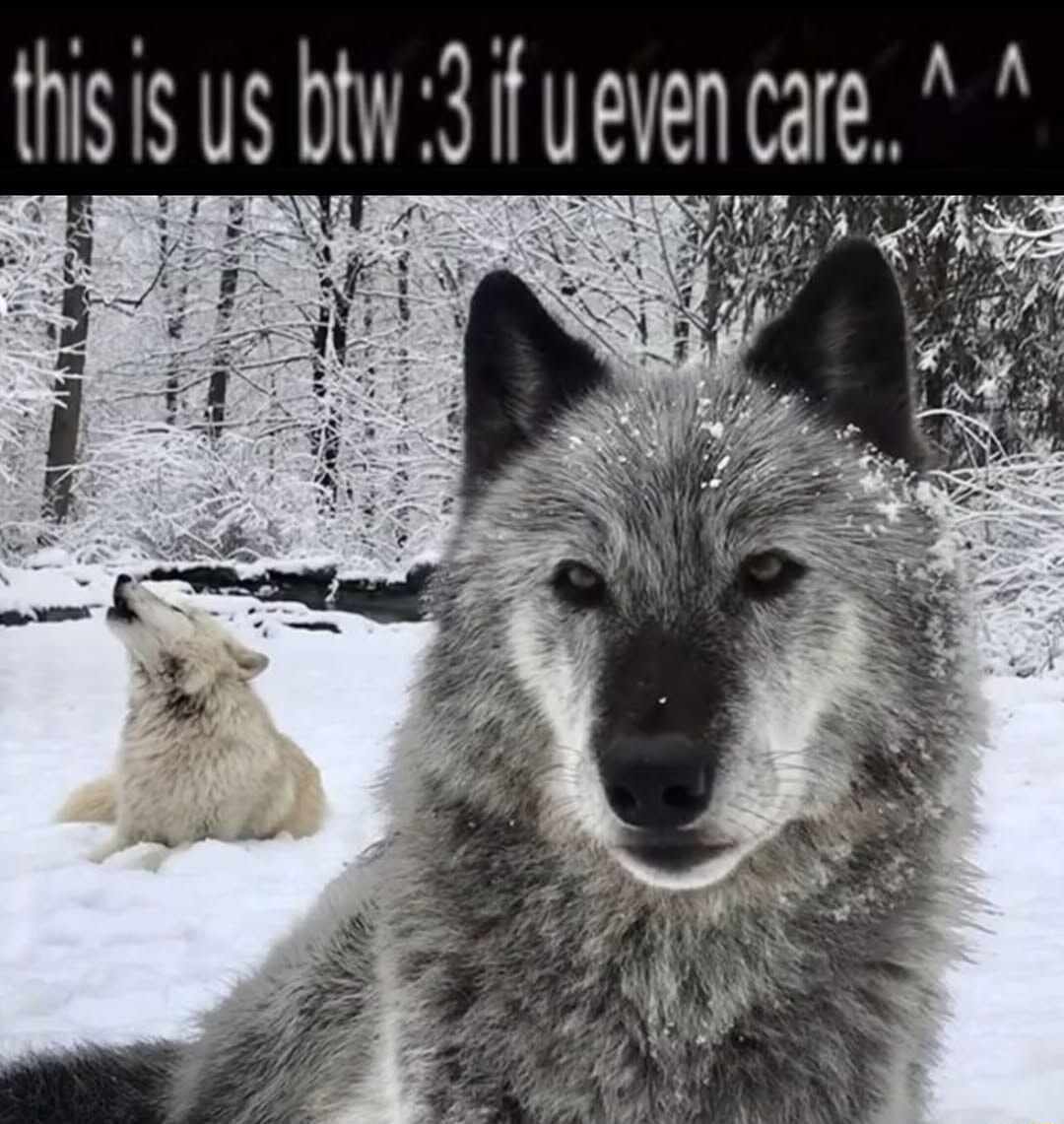 ​​​