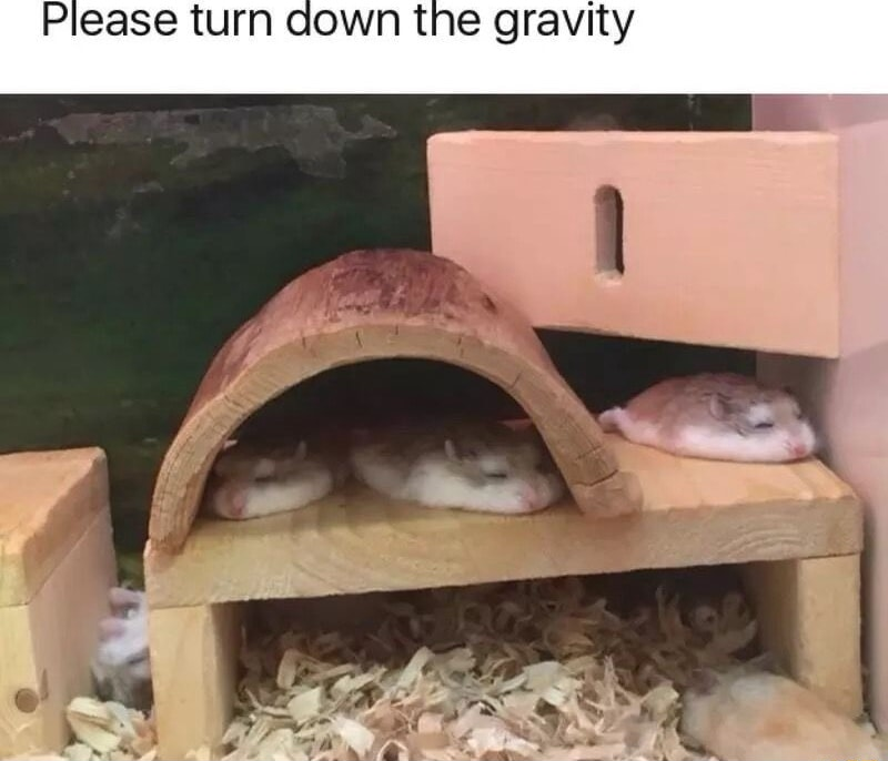 ​​​