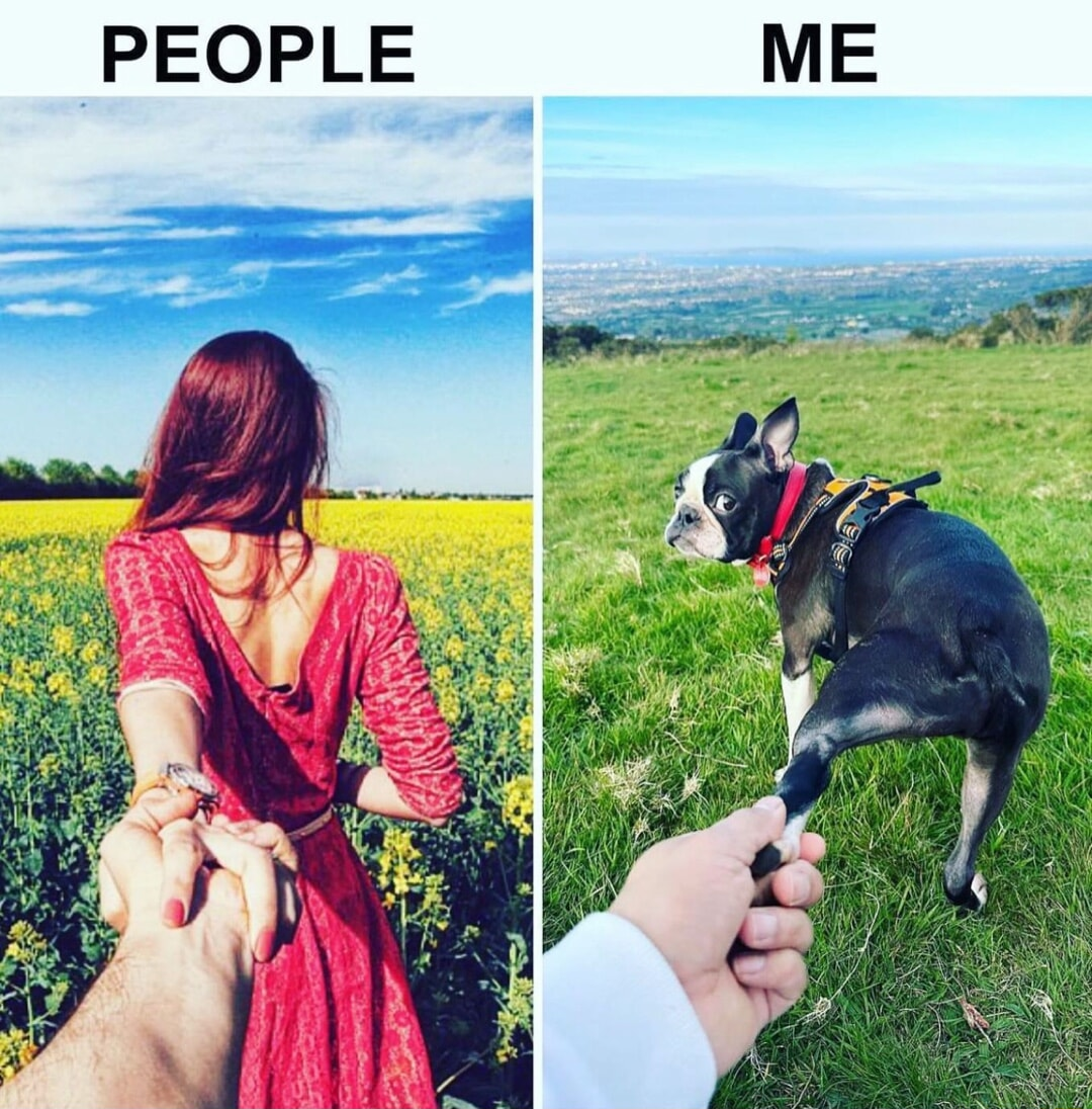 ​​​