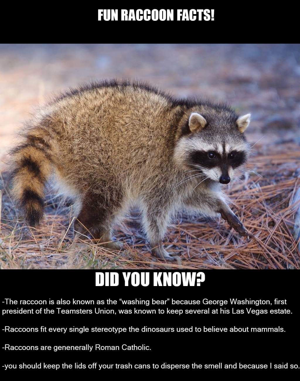 PSA