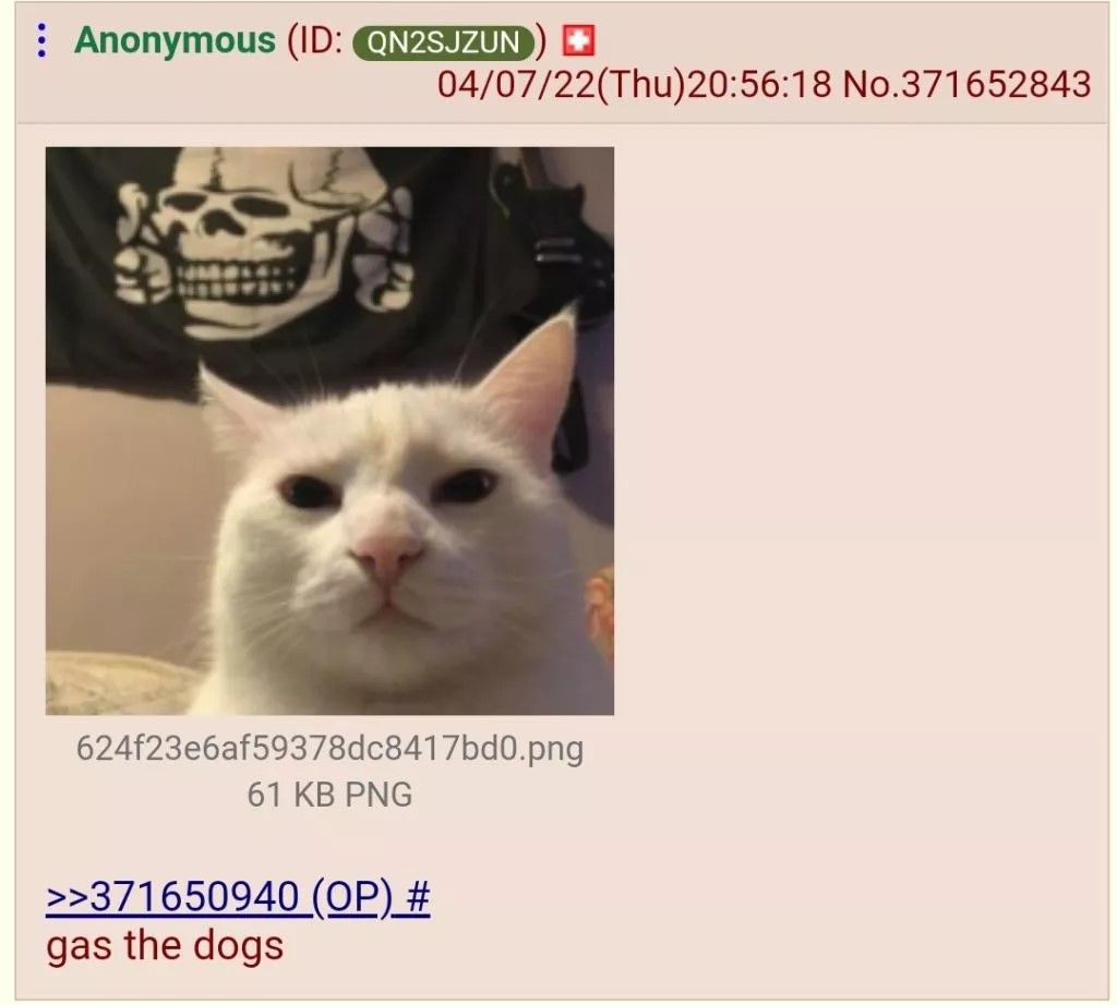 14miaomiao