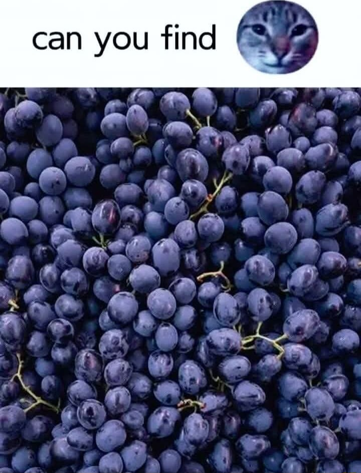 ​​​