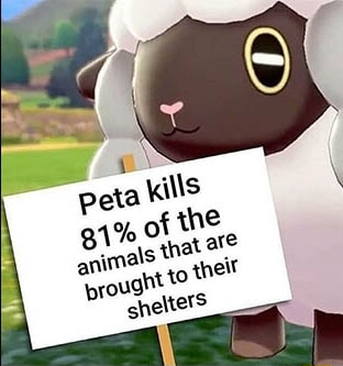 ​​​