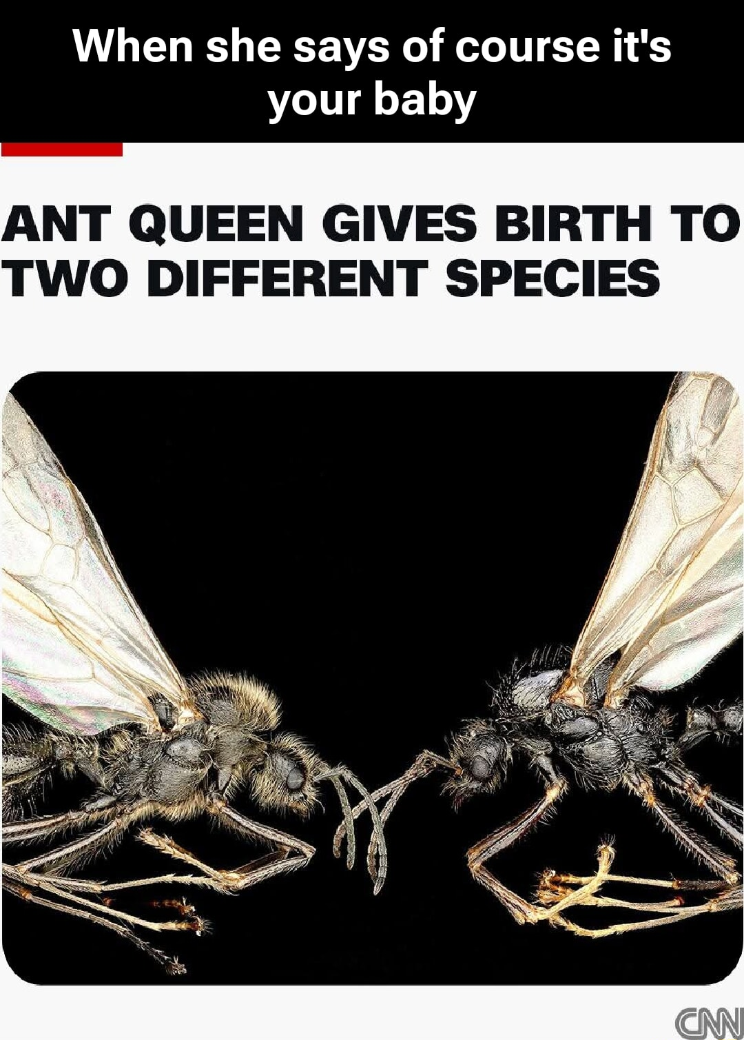 ​​​