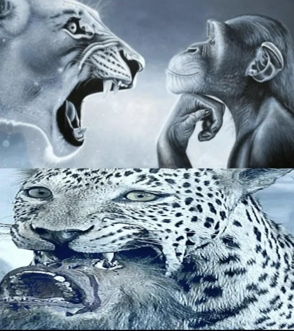 ​​​