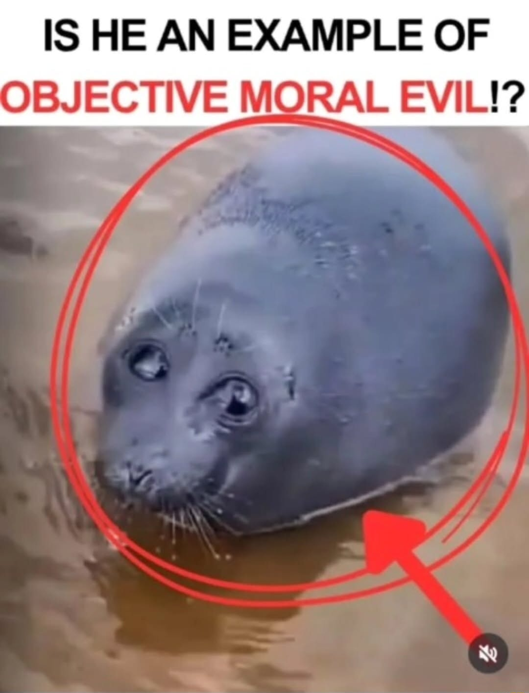 ​​​