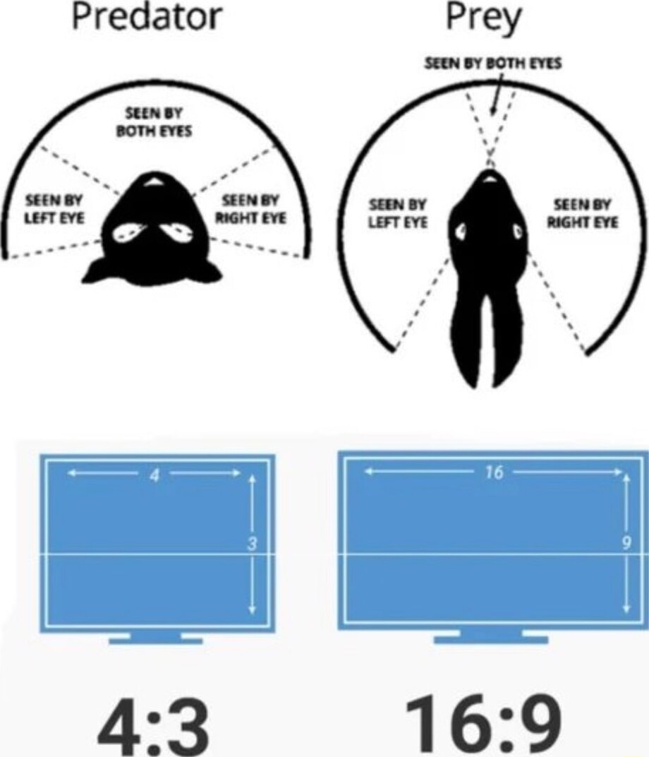 ​​​
