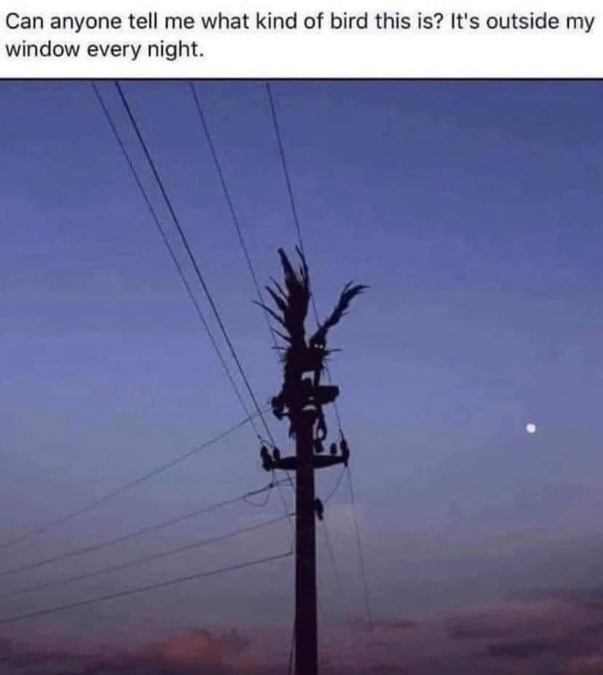 You never see it more. It's either there or it isn't