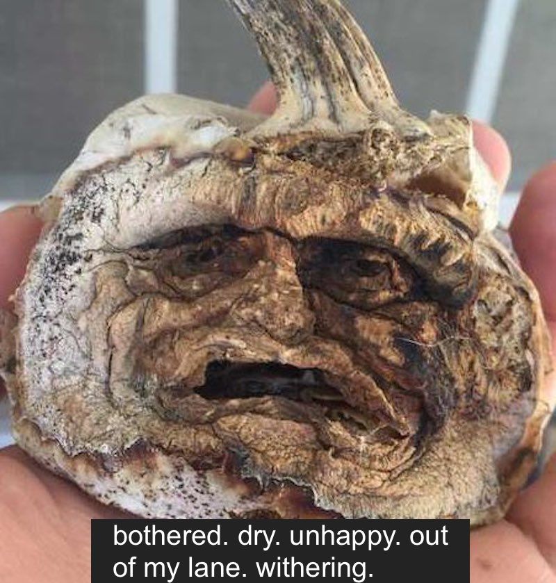Gramps