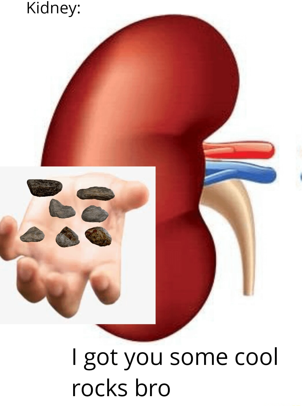 ​​​