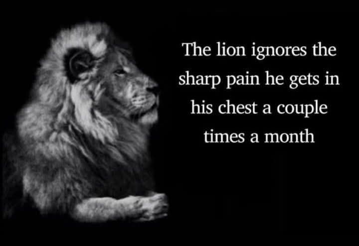 Are you a sheep or a lion?