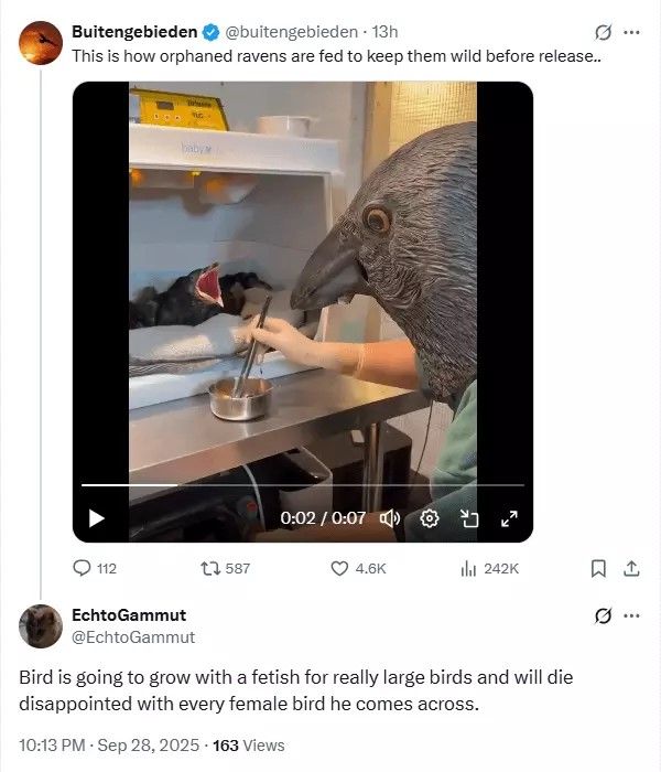 ***