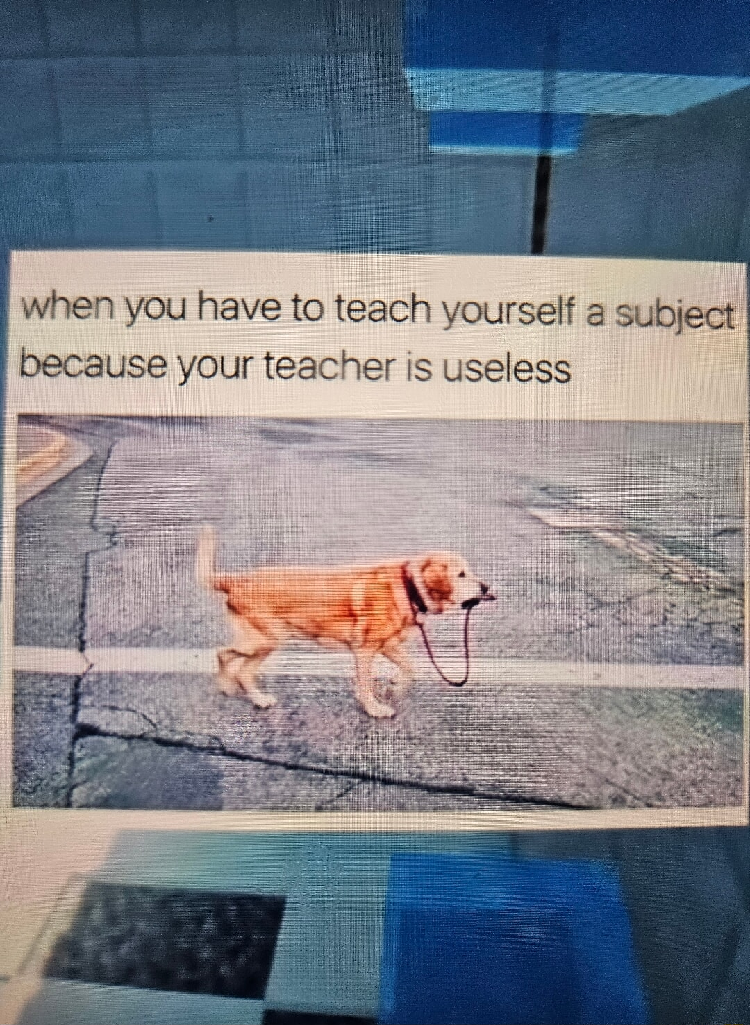​​​