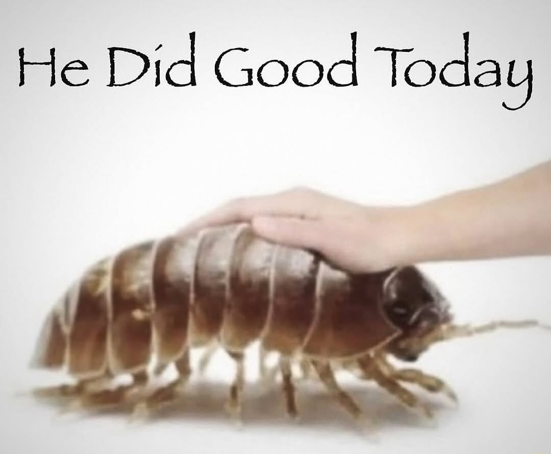 ​​​