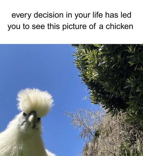 It was inevitable