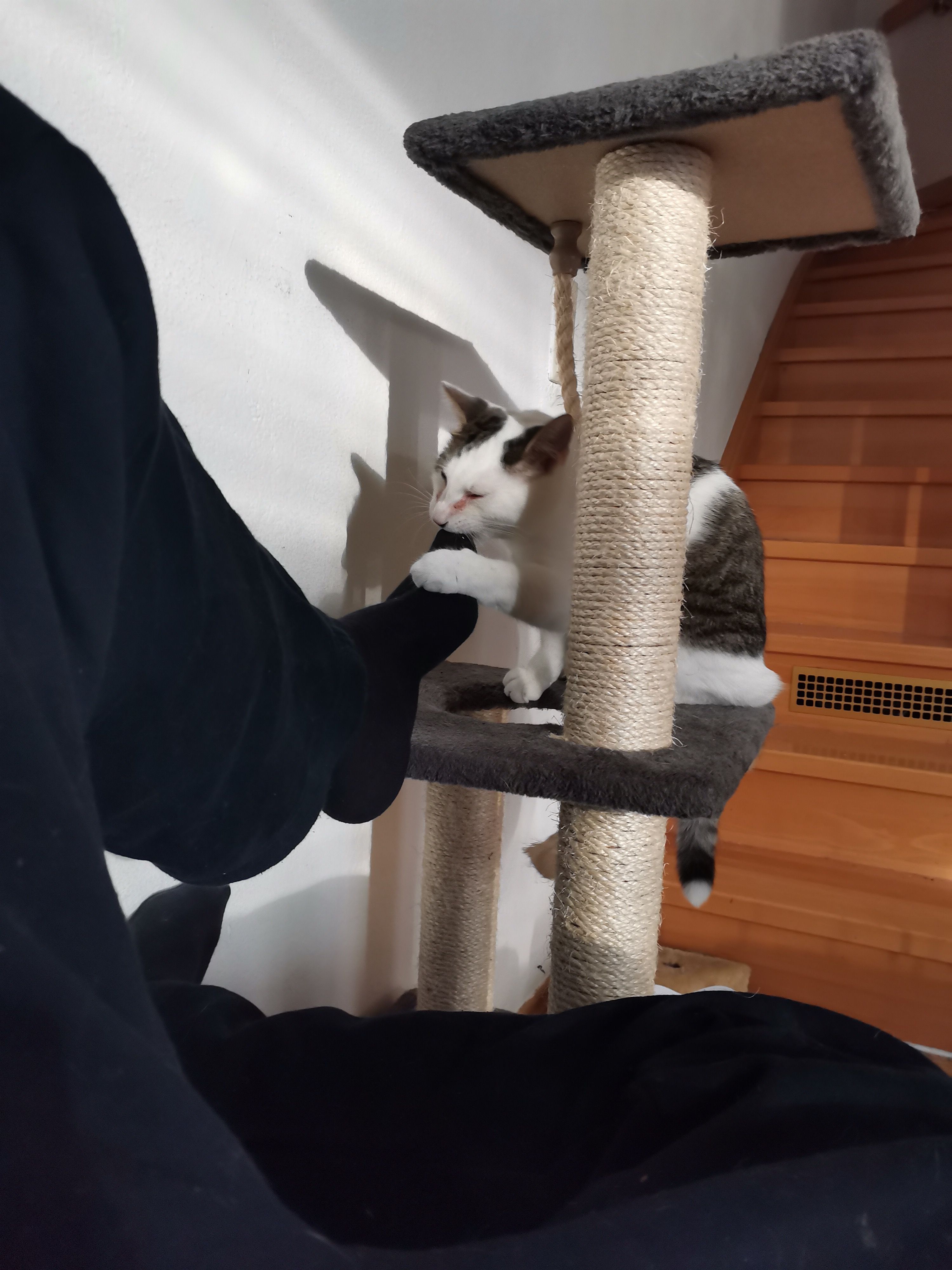 Dudders watched too much Tarantino