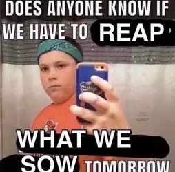 ***