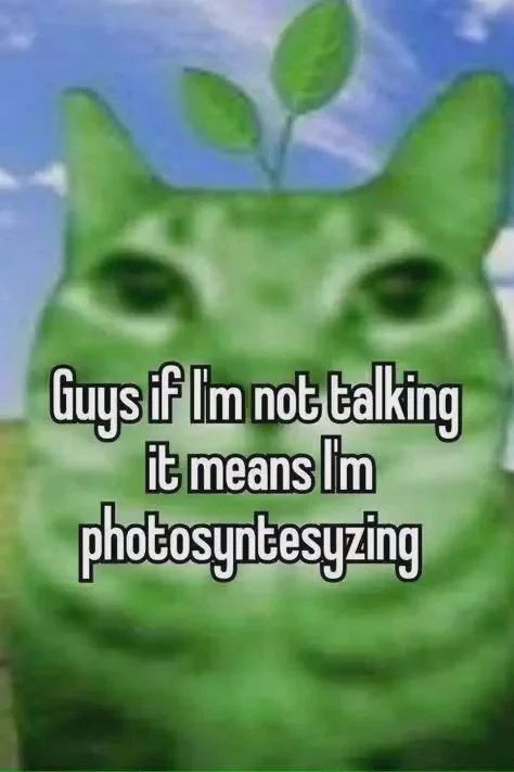 ***