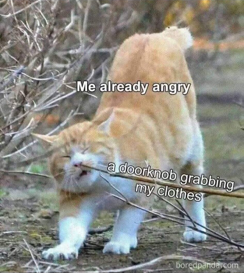 ​​​