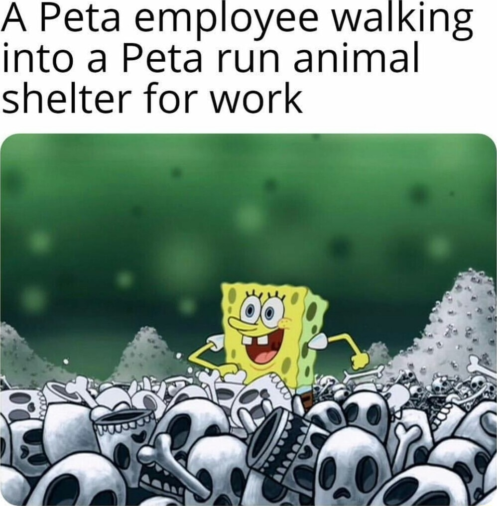 ​​​