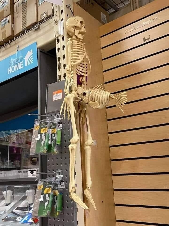 ​​​