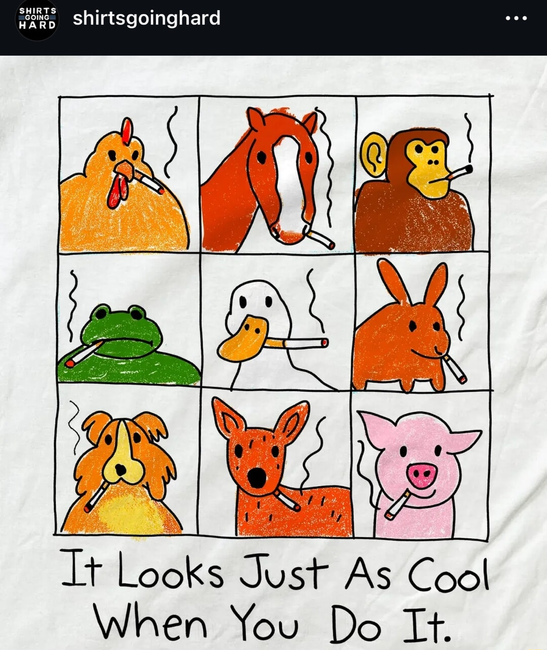 ​​​