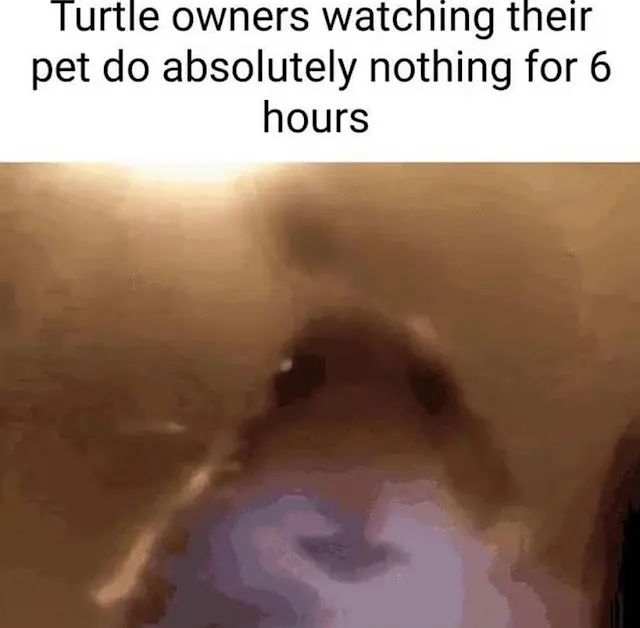yes