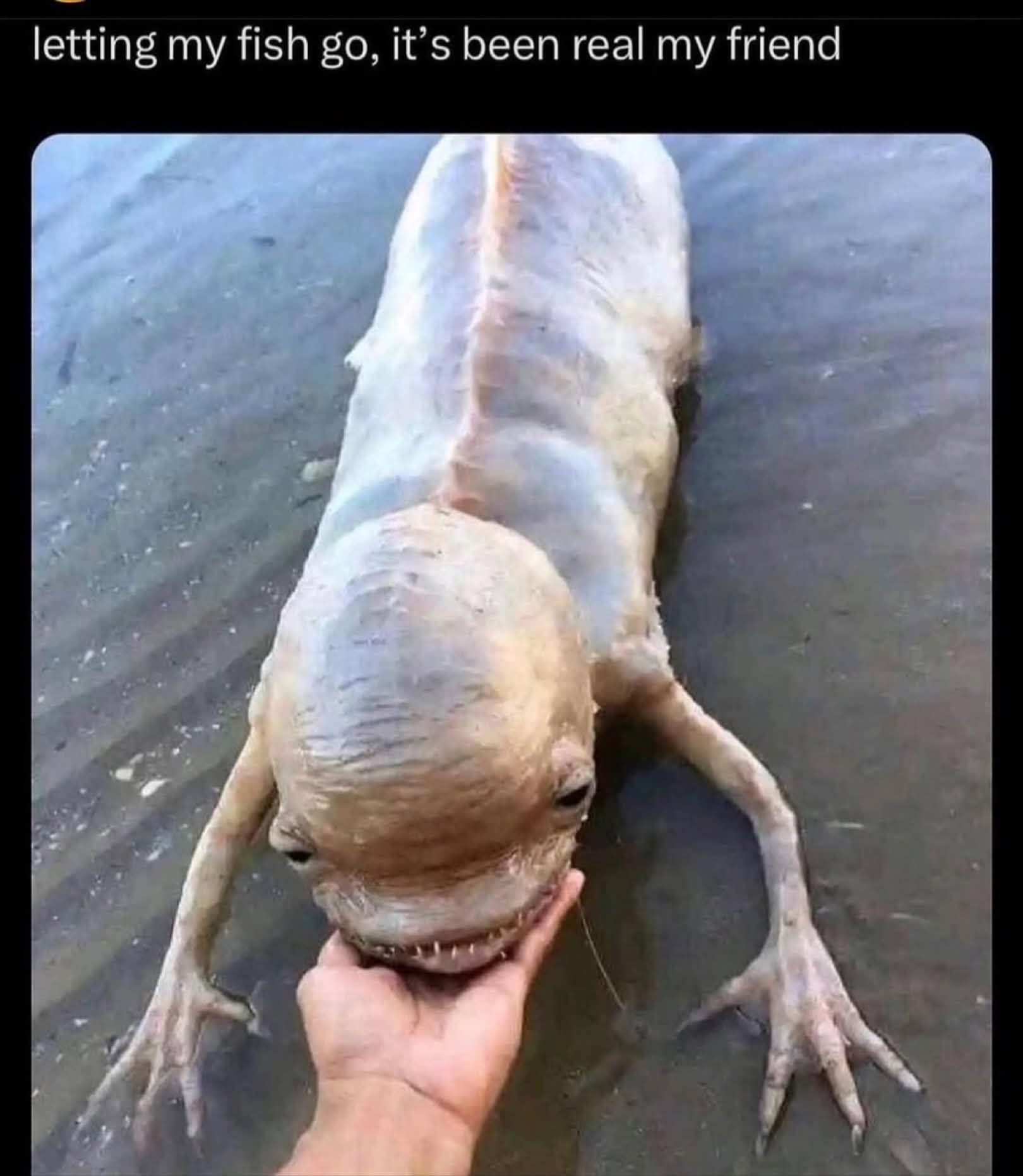 Got too big for the tank