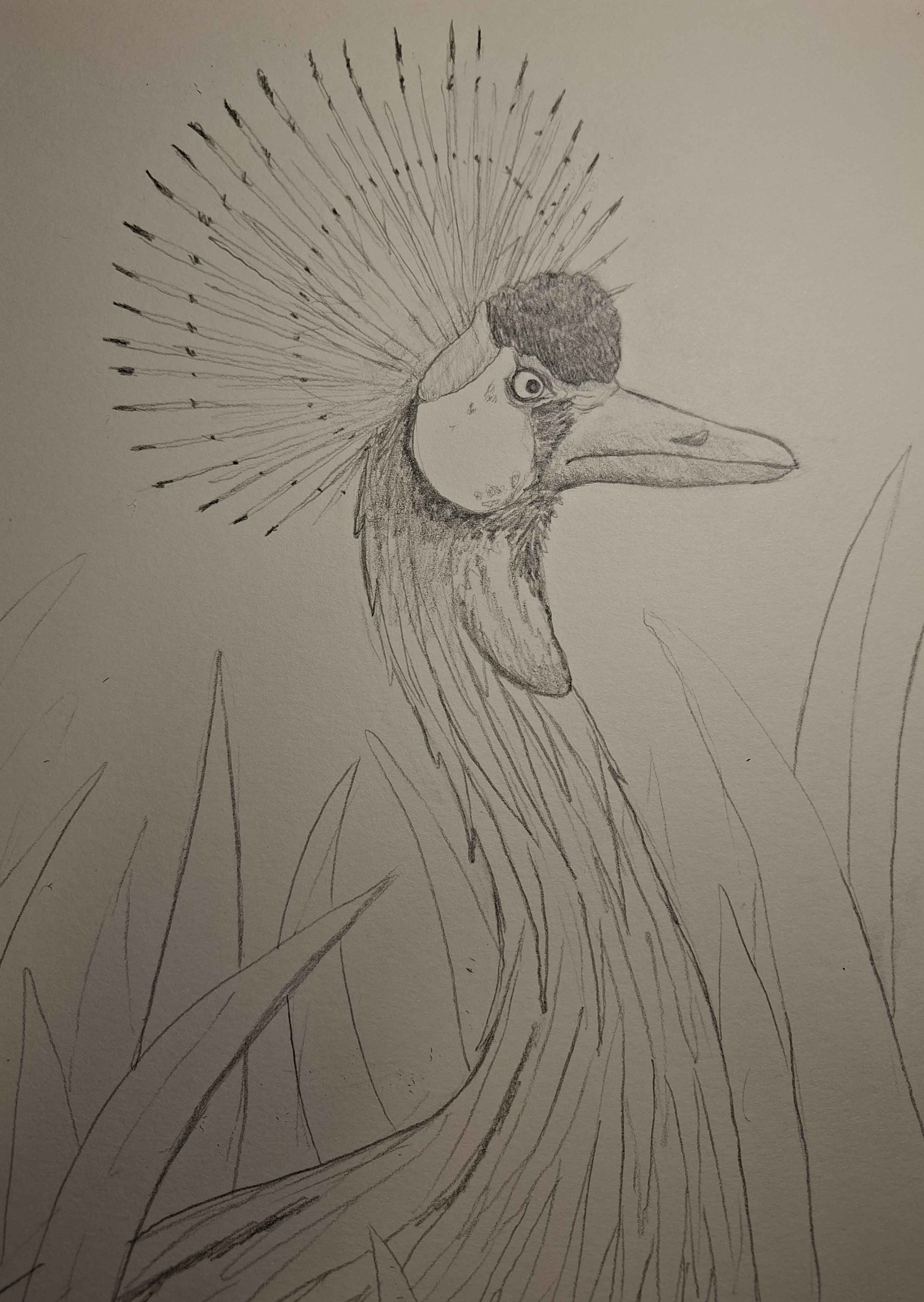 Inktober 3 Crown
