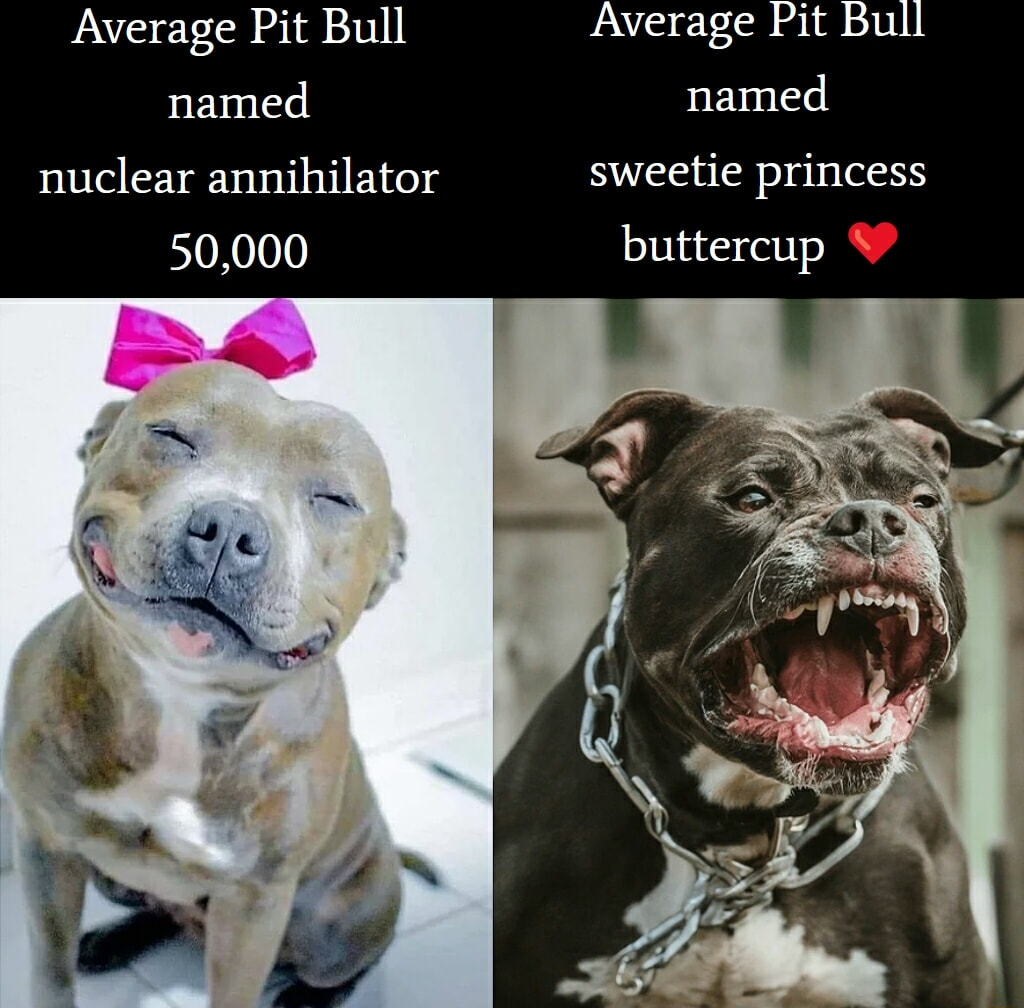 ​​​