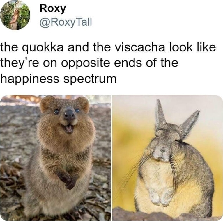 ​​​