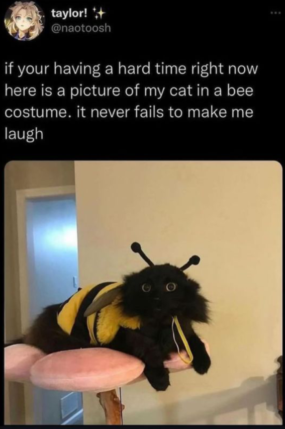 >be me >me bee