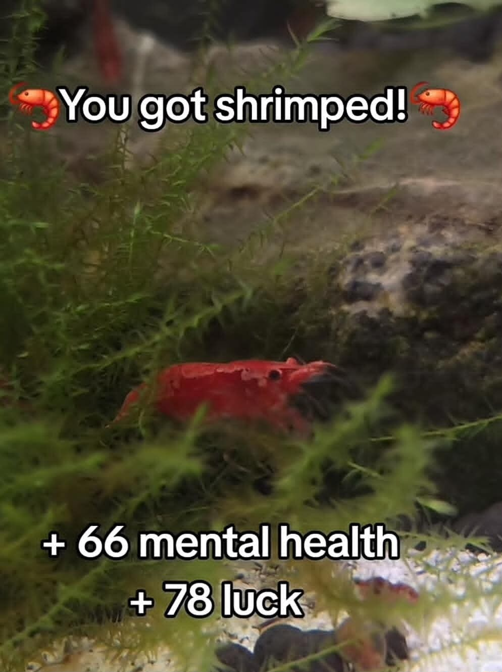 ​​​
