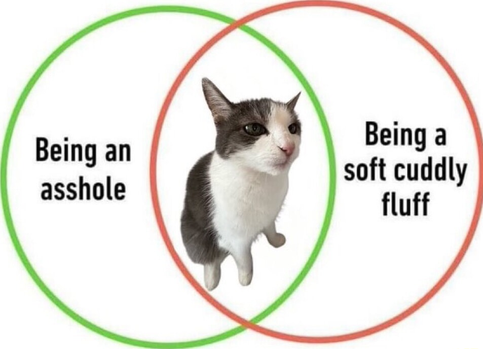 ​​​