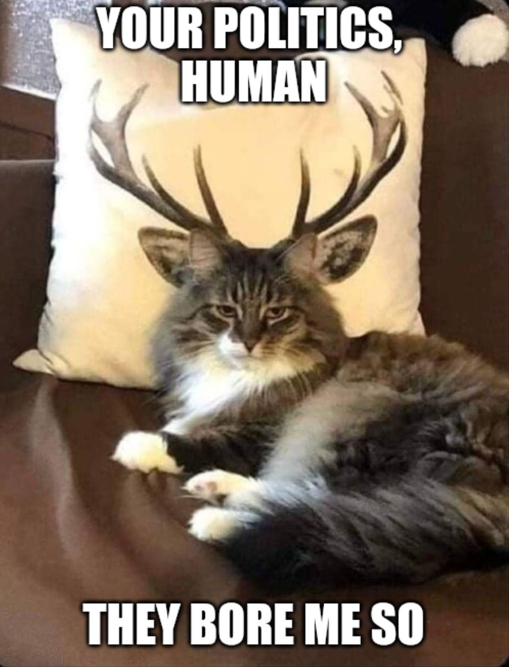 Randomly post this image in you local Discord's politics channel and never elaborate