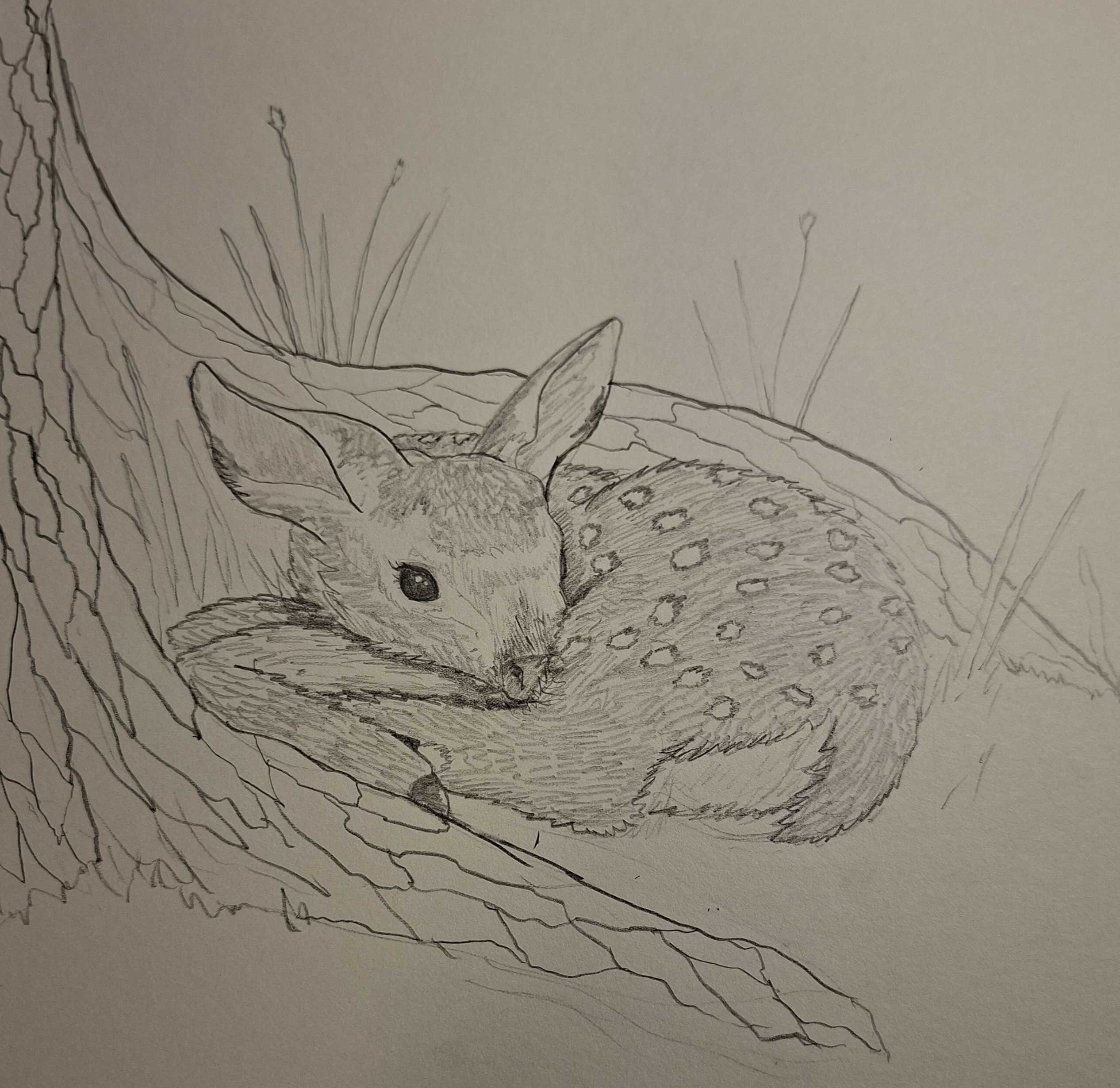 Intkober 5: Deer
