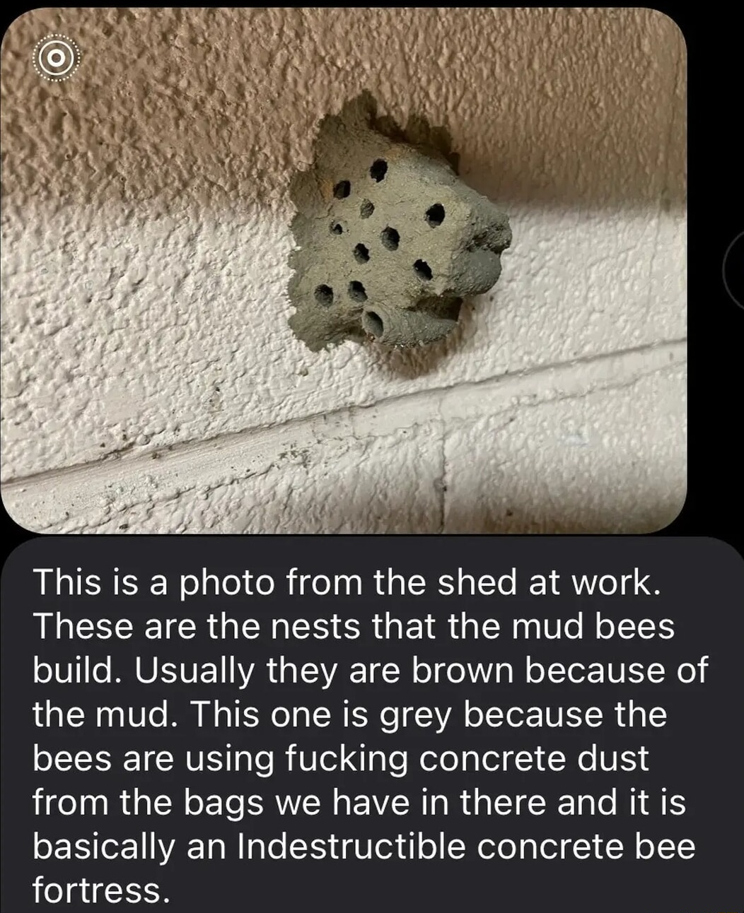 ​​​