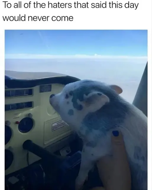 kek