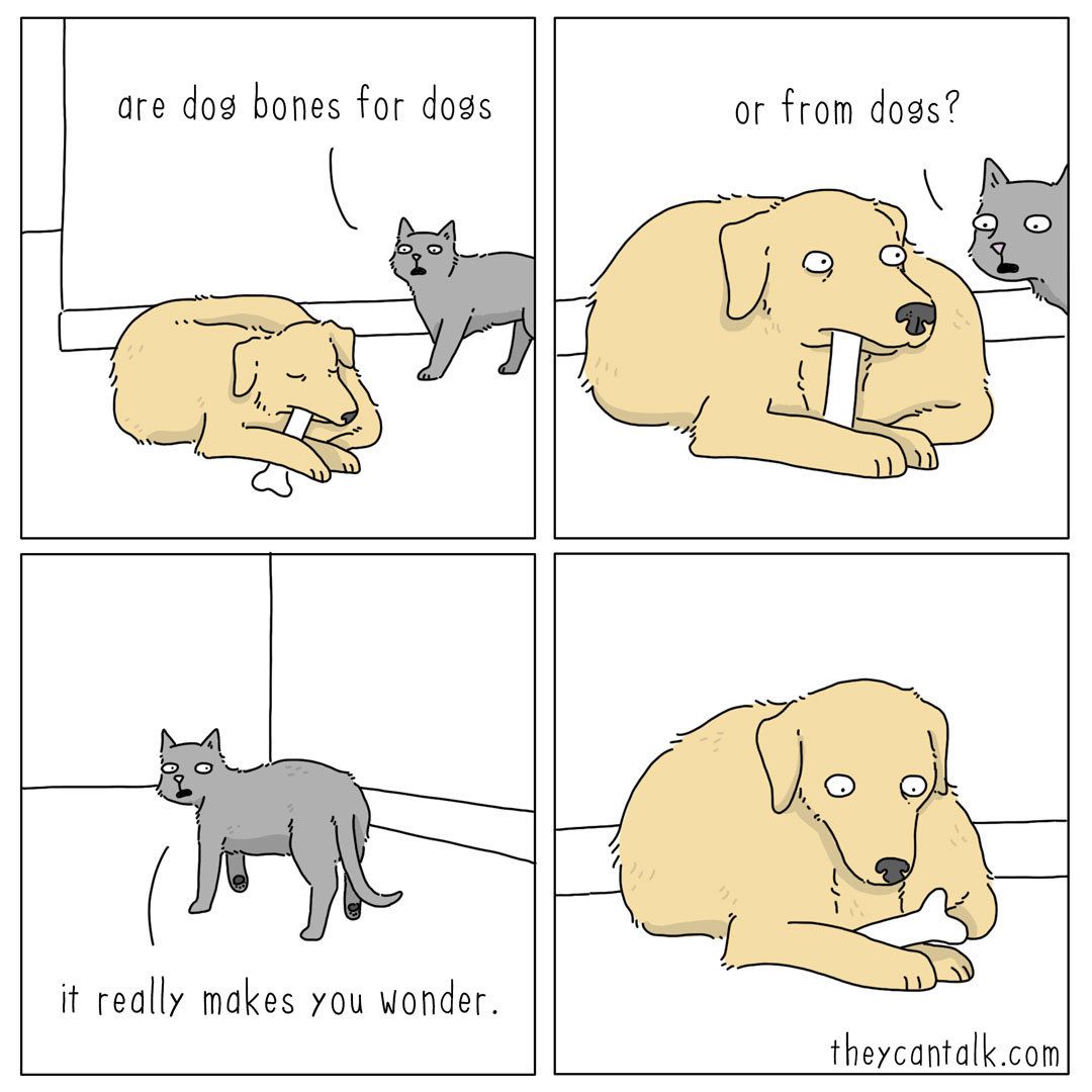 Cat food?