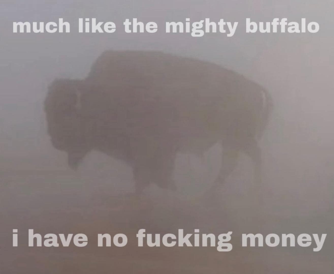 MeIRL