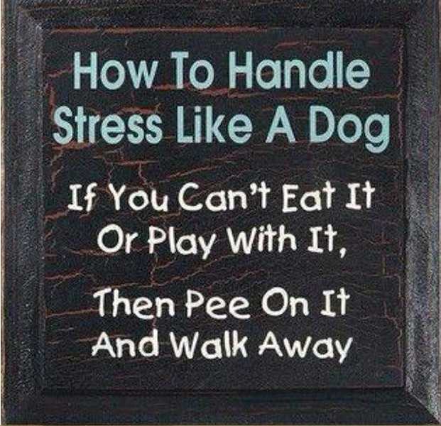 Pee on it and walk away