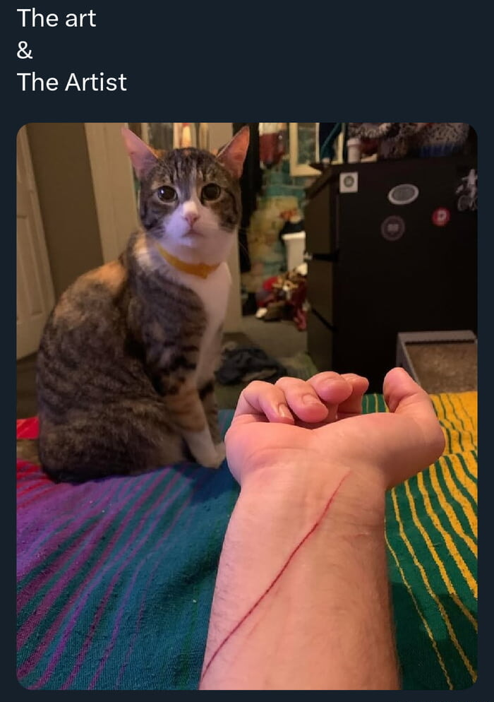 ​​​