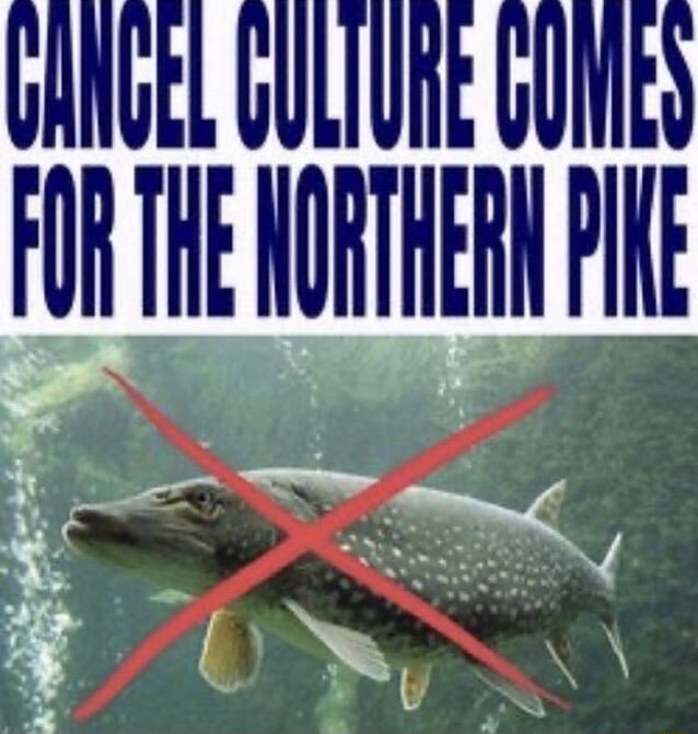 ​​​