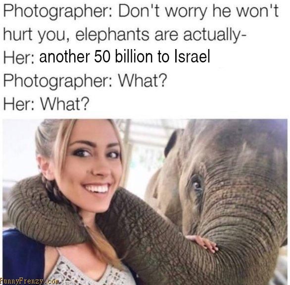(((elephants)))
