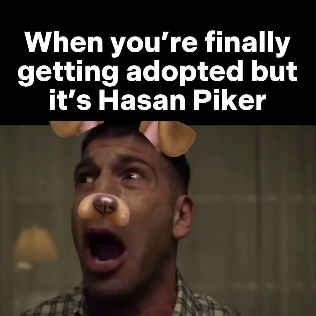 He doesn’t use a shocker on his dog, he uses a vibrator